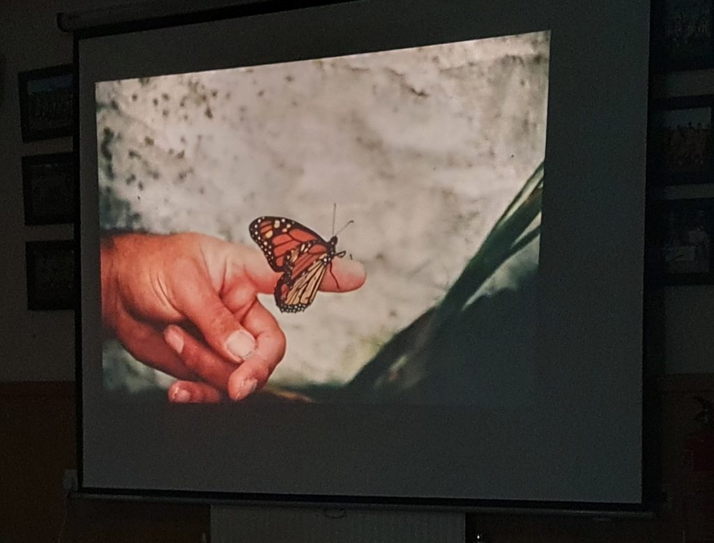"Flora and Fauna of the Calf of Man" presentation by Dessie Robinson