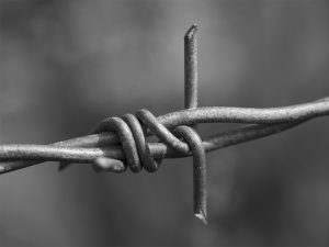 Metal competition print runner-up: Barbed by Jim Gibson