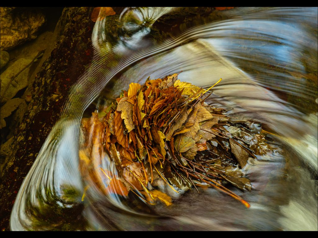 Mike Goldie Trophy 2025 third place: "Log Jam Silverdale" by Steve Johnstone