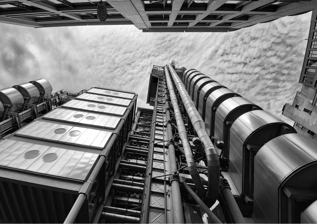 Framed print runner-up: "Looking Up" by Andrea Thrussell