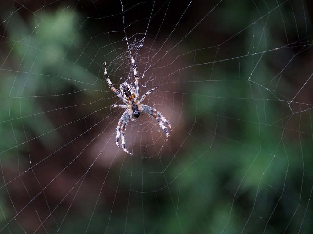Construction digital winner: "Under Construction" by Andrea Thrussell