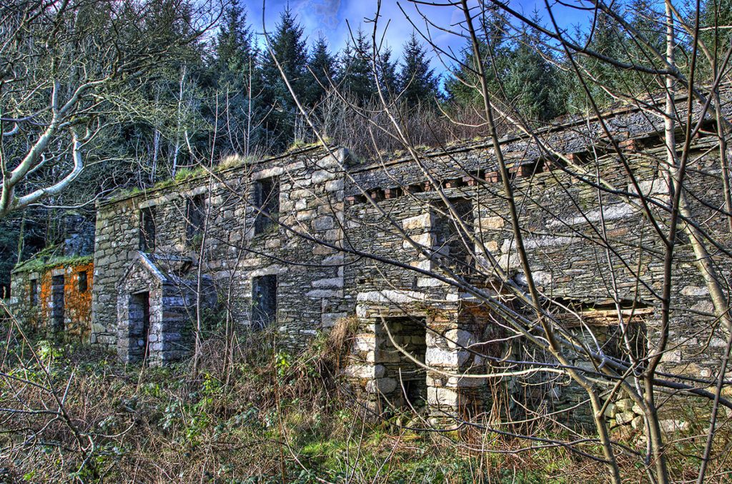 Clough Willey, Stoney Mountain plantation, by Ray Kelly